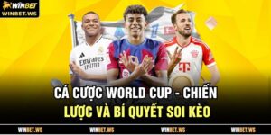 cá cược World Cup