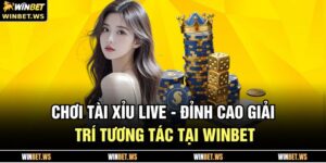 Chơi Tài Xỉu Live